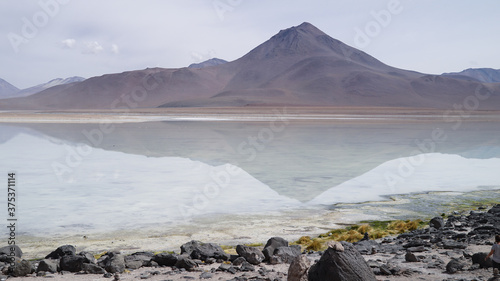 Laguna Blanca in the Altiplano region in Bolivia
