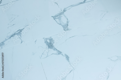 Marble floor of white color