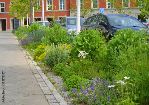 Fototapeta Naklejka Na Ścianę i Meble -  Pavement and street with parked cars and a stripe of flowers and vegetation, green city concept