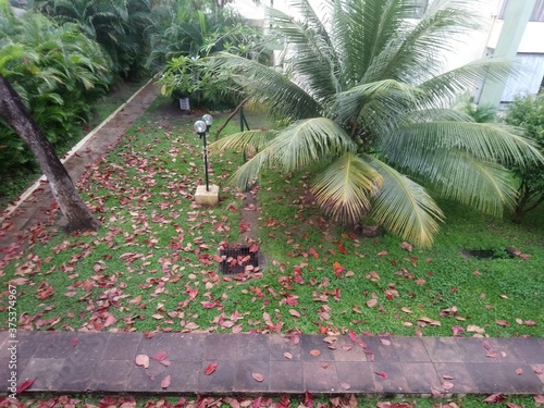 garden