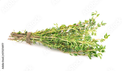 green thyme bunch an isolated on white background