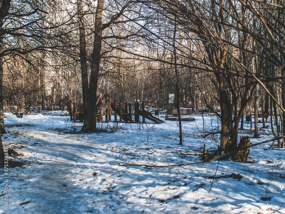 little snow on a clear winter day in the forest, Moscow little snow on a clear winter day in the forest, Moscow