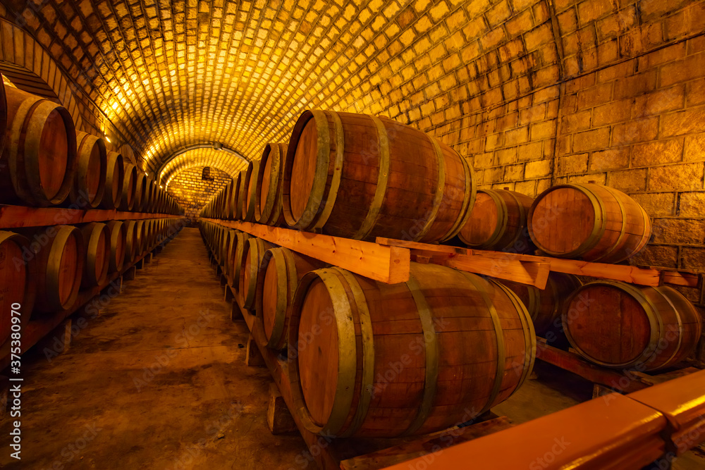 Oak barrels in wine cellars, Changli County, Hebei Province, China