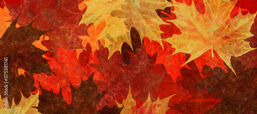colorful watercolor fall leaves 