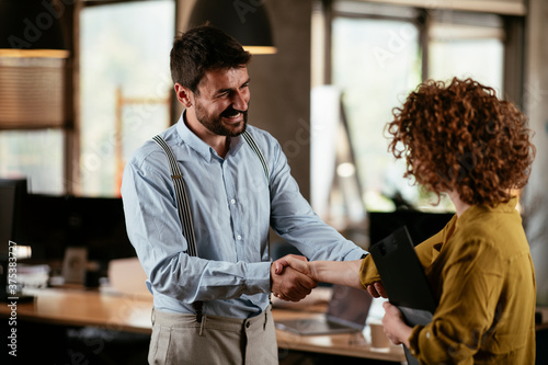 Colleagues in office. Businesswoman and businessman handshake in office...
