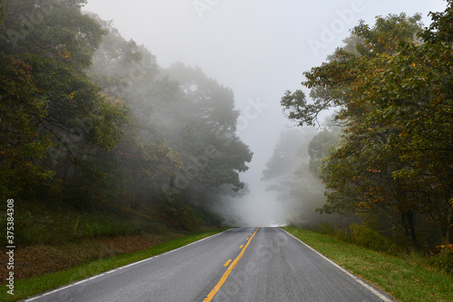 Road to the forest in a foggy morning in autumn foliage © Orhan Çam