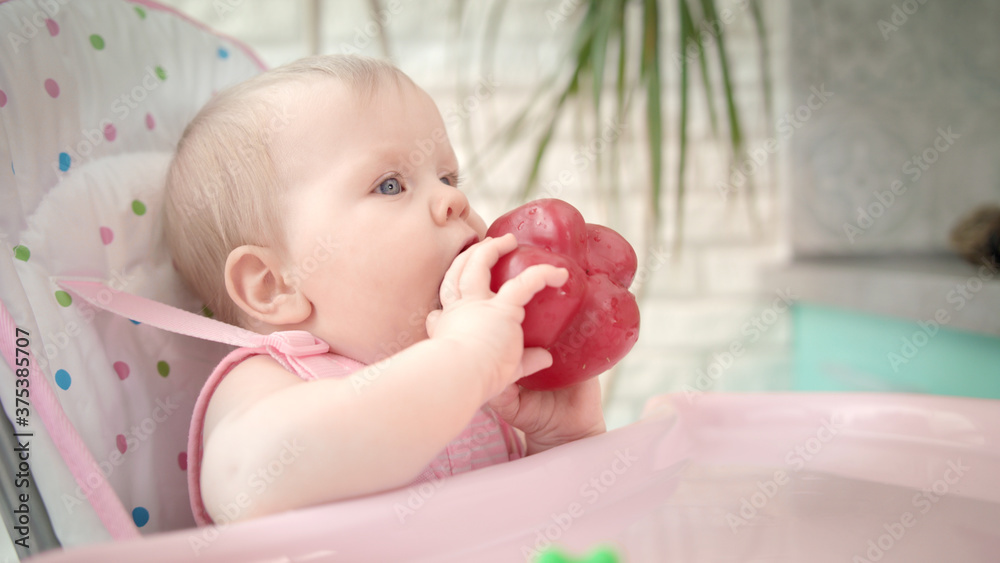 Baby gnawing red pepper in chair. Baby vegetable diet. Healthy nutrition for kid Baby gnawing red pepper in chair. Baby vegetable diet. Healthy nutrition for kid