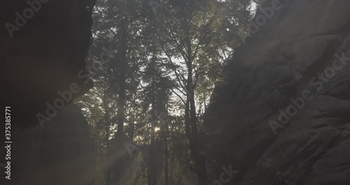 Amazing sunny weather in the middle of the forest.