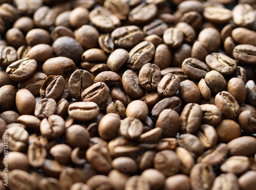 Coffee bean background close up