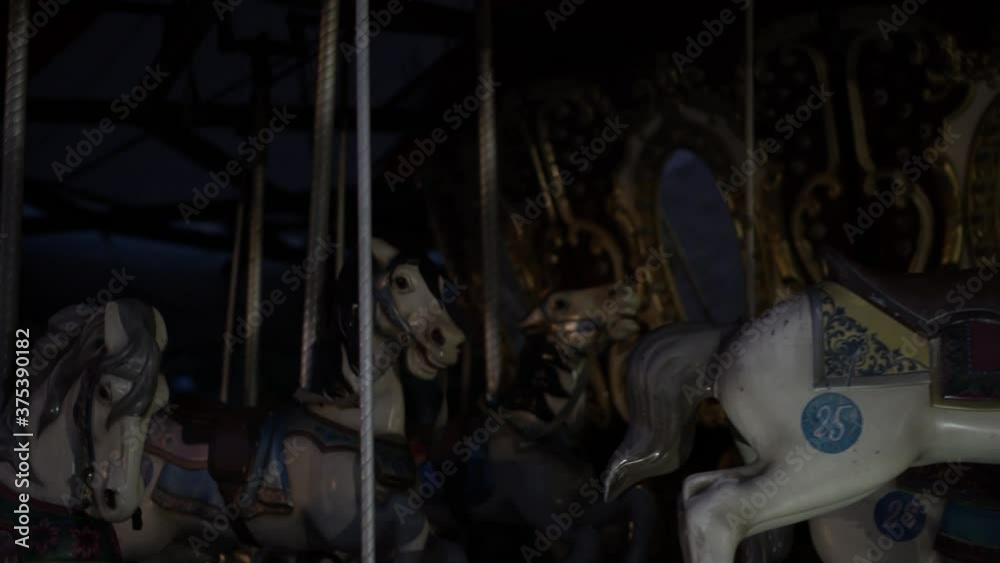 Carousel Spins In The Dark