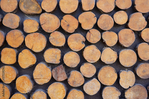 Texture of round wooden cut decorate on concrete background