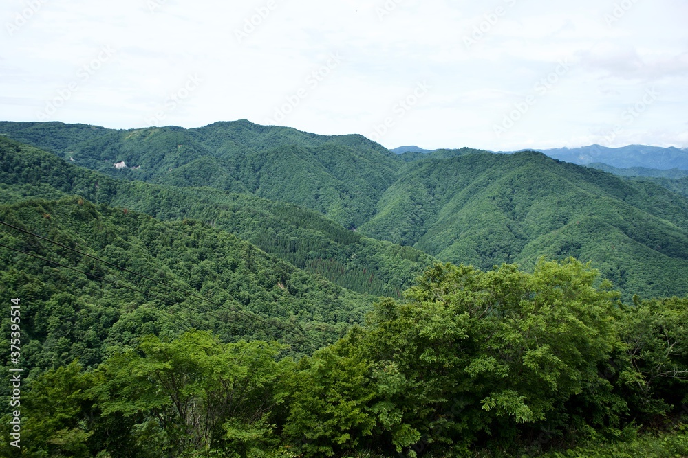 The landscape of Japanese mountains in summer.
The view of green trees.