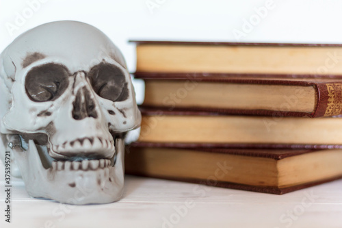 Skull and old books