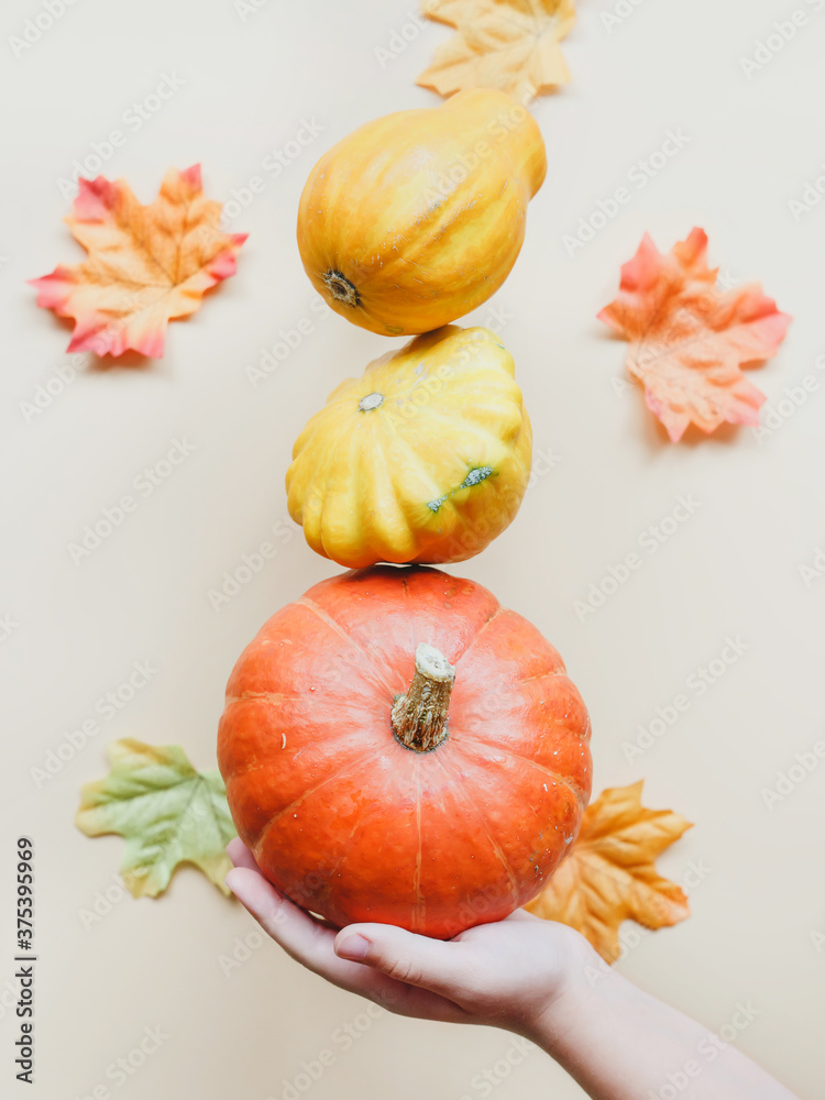 Autumn composition of pumpkins and squash. Greeting card. 