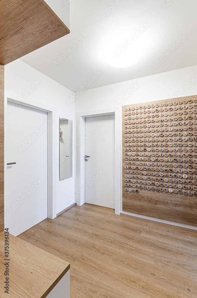 Obraz premium Interior of modern hall in flat