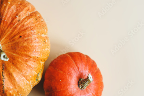 Autumn composition, with pumpkins, on light background