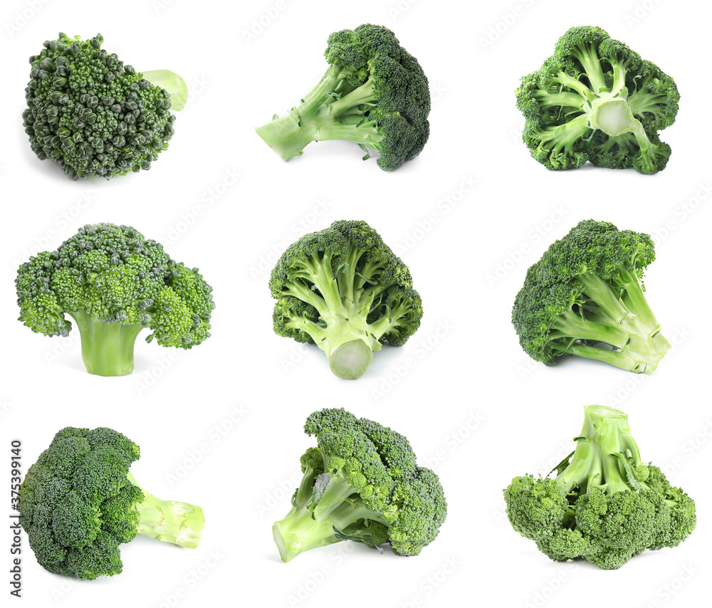 Set of fresh green broccoli on white background Set of fresh green broccoli on white background
