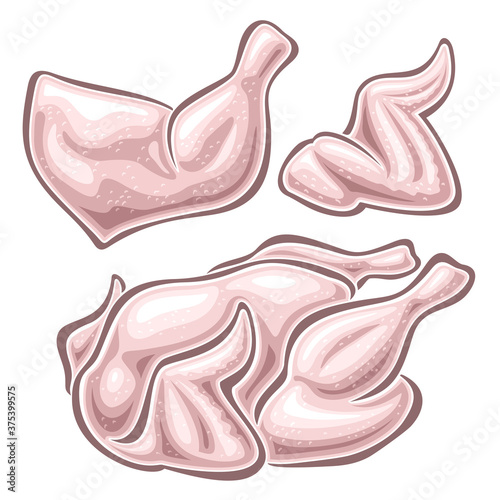 Vector set of raw Chicken Meat, 3 cut out illustration of whole chicken, quarter poultry and chicken wing on white background.