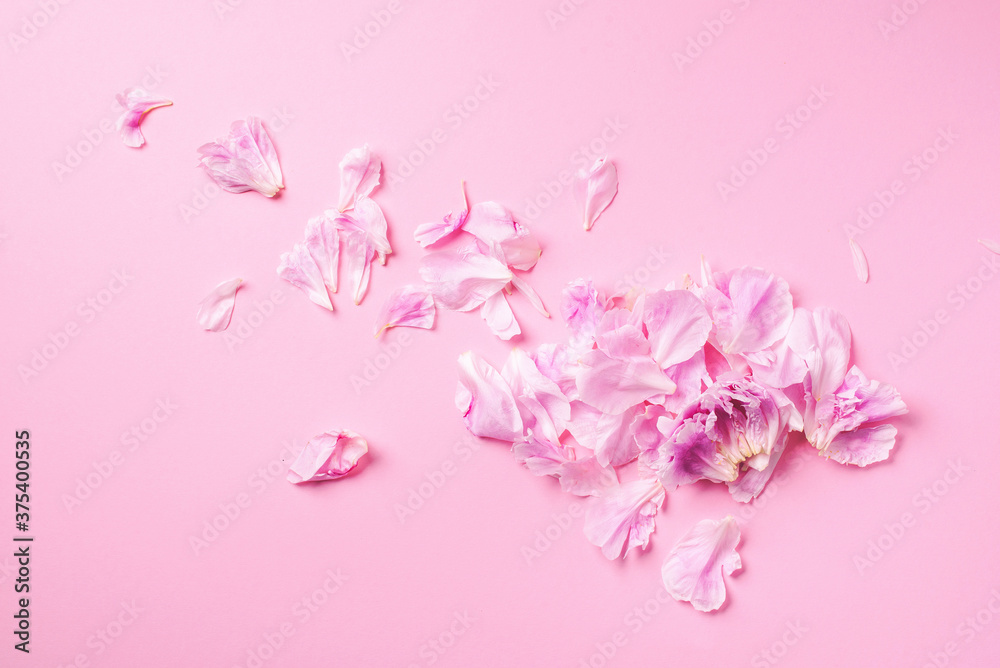 Pink background with peony petals. Top view. Floral print. Abstract blooming texture. Spring concept. Women's day. Mother's day