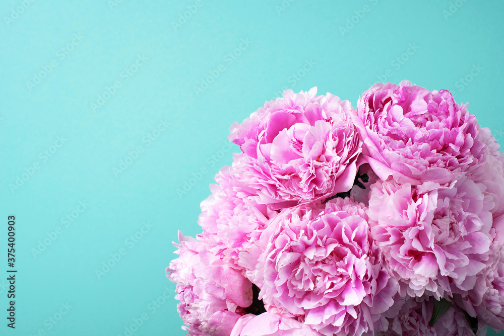 Pink peony flower on blue background. Copy space. Floral composition. Wedding, birthday, anniversary bouquet. Woman day, Mother's day. Macro of peonies flowers Pink peony flower on blue background. Copy space. Floral composition. Wedding, birthday, anniversary bouquet. Woman day, Mother's day. Macro of peonies flowers