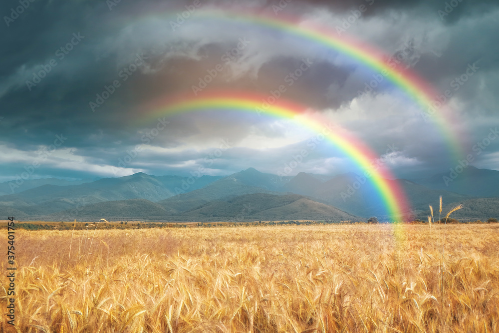 Amazing double rainbow over wheat field under stormy sky Amazing double rainbow over wheat field under stormy sky