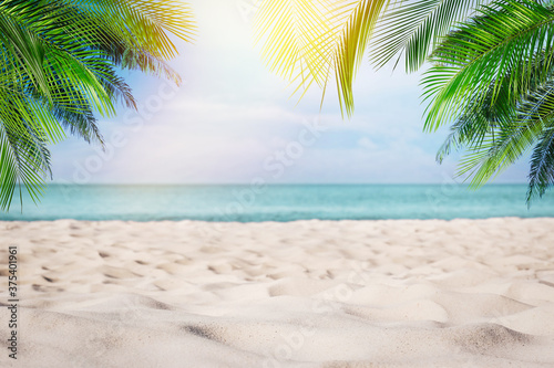Fototapeta Naklejka Na Ścianę i Meble -  Sandy beach with palms near ocean on sunny day