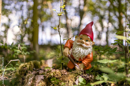 Garden gnome in the forest
 photo