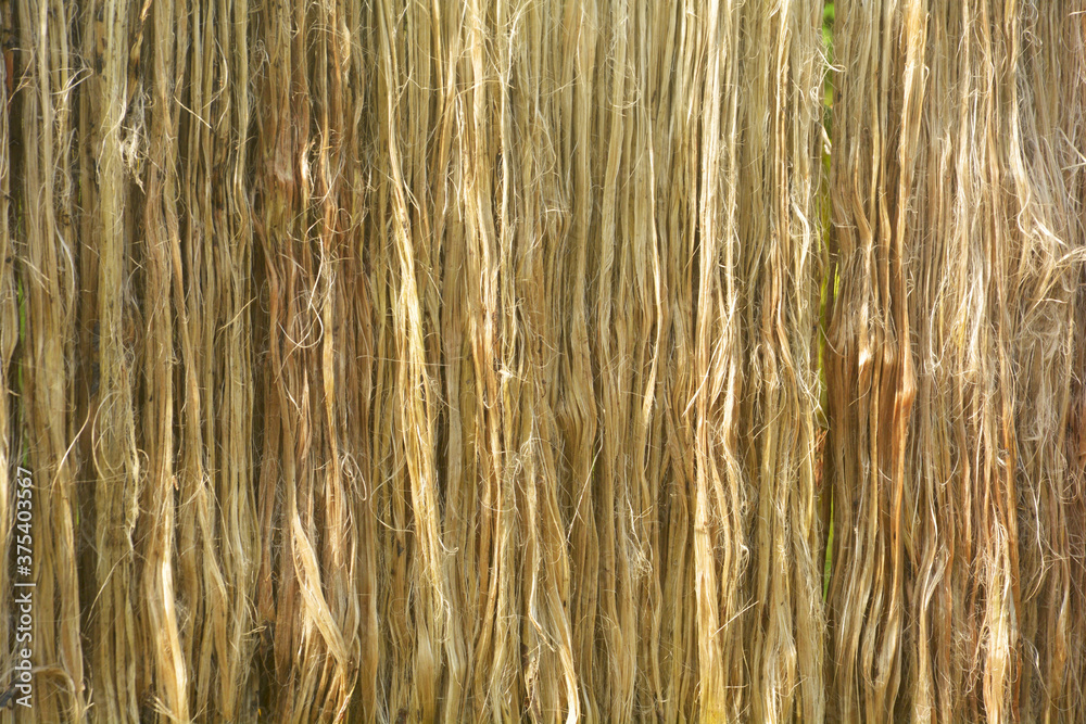 Close up of jute fabric, fibers hanging down for drying in direct sunlight, selective focusing Close up of jute fabric, fibers hanging down for drying in direct sunlight, selective focusing
