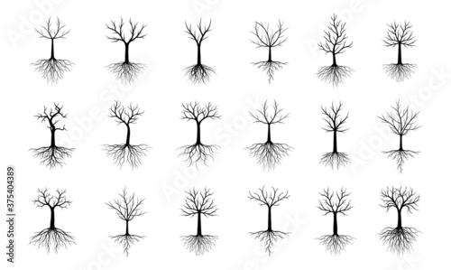 Set black Trees with Leaves and Roots. Vector outline Illustration. Plant in Garden.