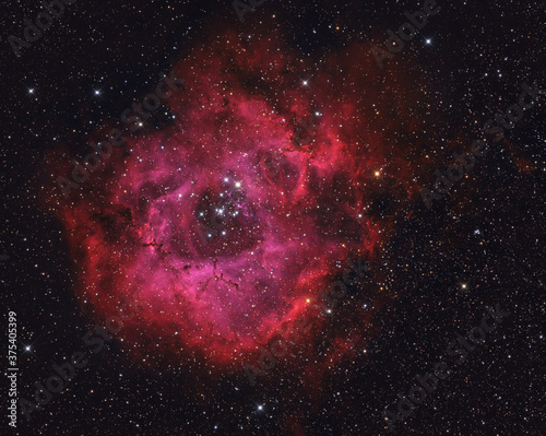 Fototapeta Naklejka Na Ścianę i Meble -  NGC 2244 rosette nebula