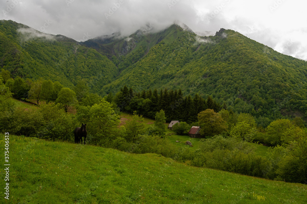 Fototapeta premium Paysage de montagne, pyrénées centrale, france, ariège