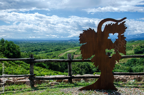 Photos paesaggio con vigne