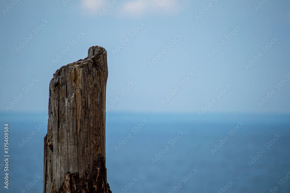 Charred broken wood on sea background 