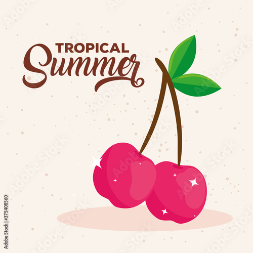 tropical summer, cherries fresh fruits vector illustration design
