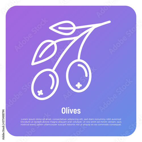 Olive branch with leaf thin line icon. Olive oil production. Vector illustration.