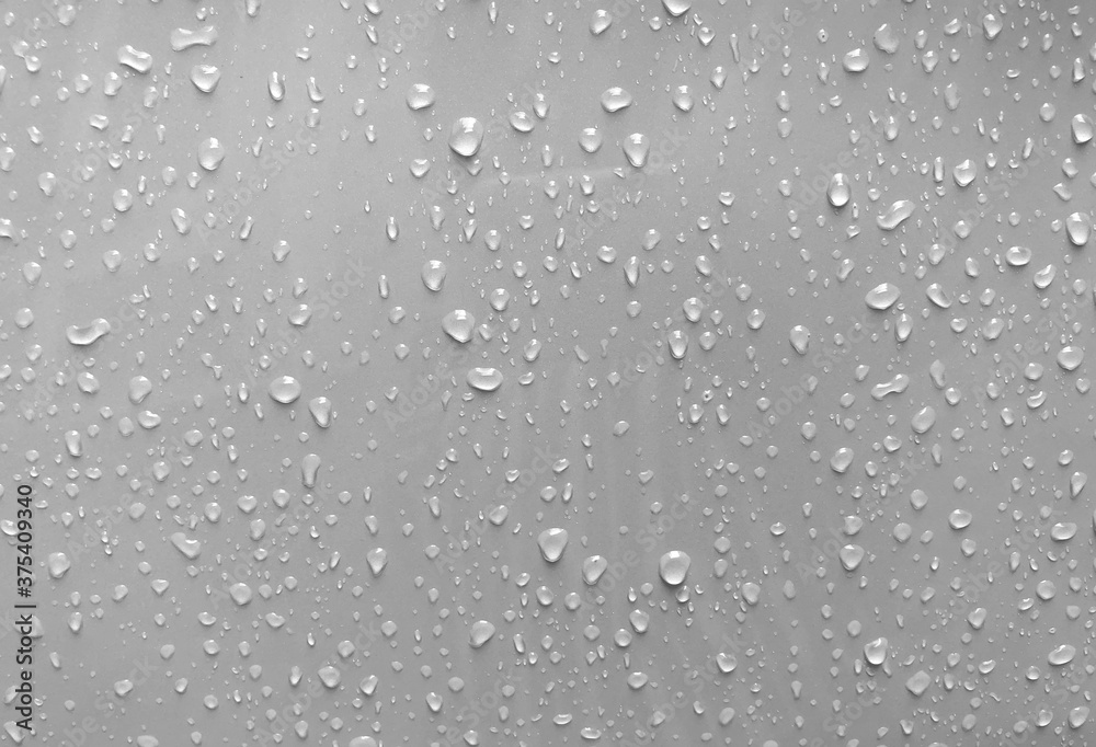 water drops black white background gray nature rain