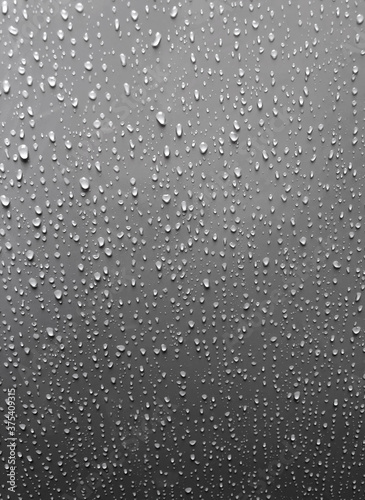 water drops black white background gray nature rain