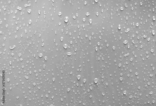 water drops black white background gray nature rain