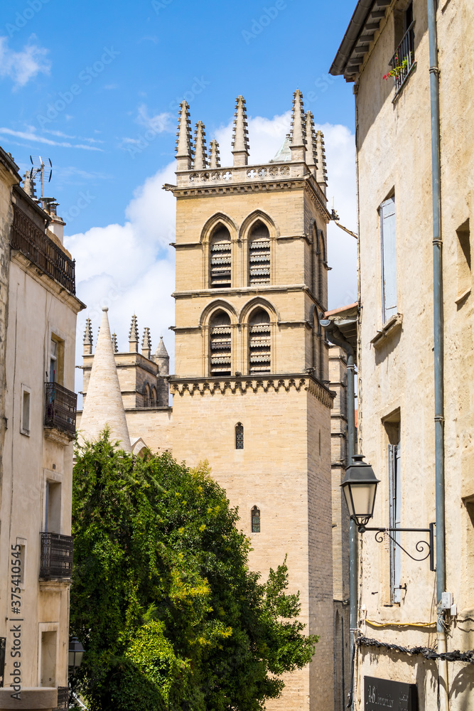 Gros plan sur la cathédrale Saint-Pierre de Montpellier et ses clochers (Occitanie, France)