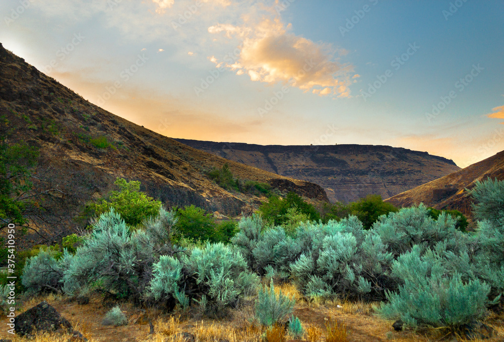 Obraz premium Desert Beauty