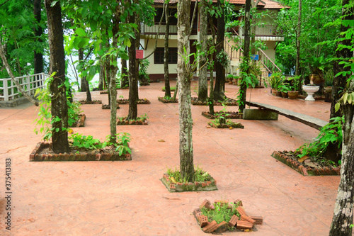 the compatibility of the trees and buildings in forest.the trees in the  block stall and brown cement ground