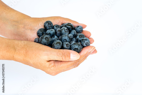 Female hands filled with blueberries