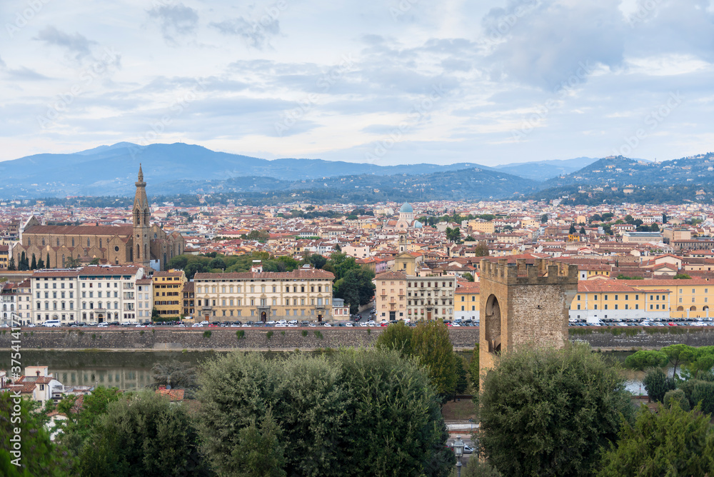 Panorama of the city of Florence with a tower, houses, churches and mountains on the horizon