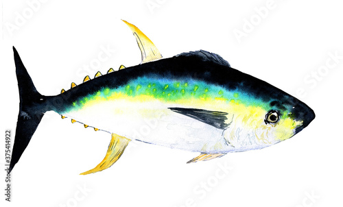 Fototapeta Naklejka Na Ścianę i Meble -  bright illustration of tuna with bright yellow and green blue color . Drawn watercolor isolated illustration on a white background