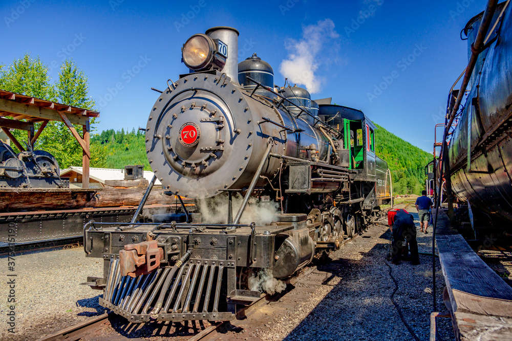 Obraz premium old steam train