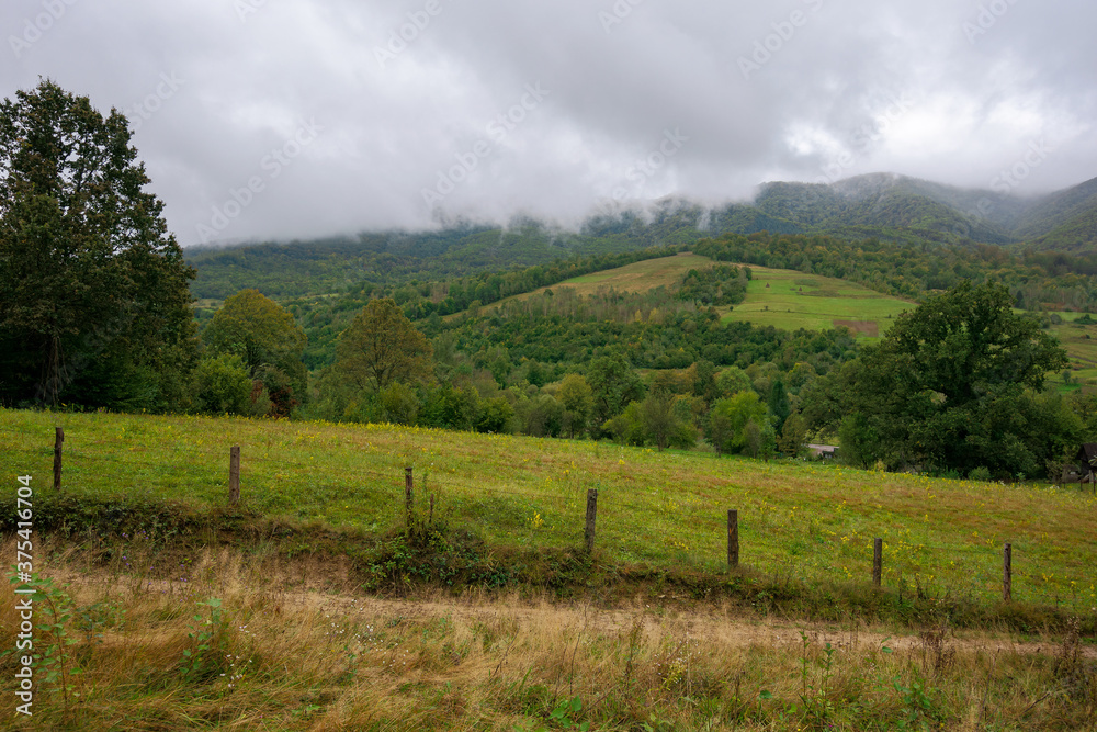 rural area in mountains. misty september morning. empty fields on the hills. overcast sky