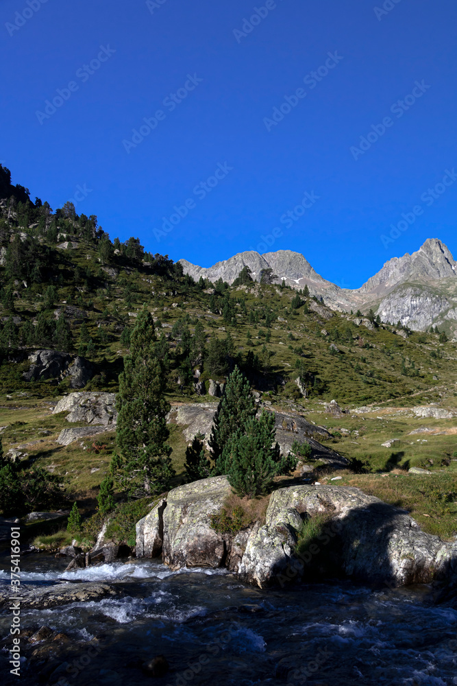 Mountain river in Marcadau Valley in the High French Pyrenees, near Cauterets, France, Europe