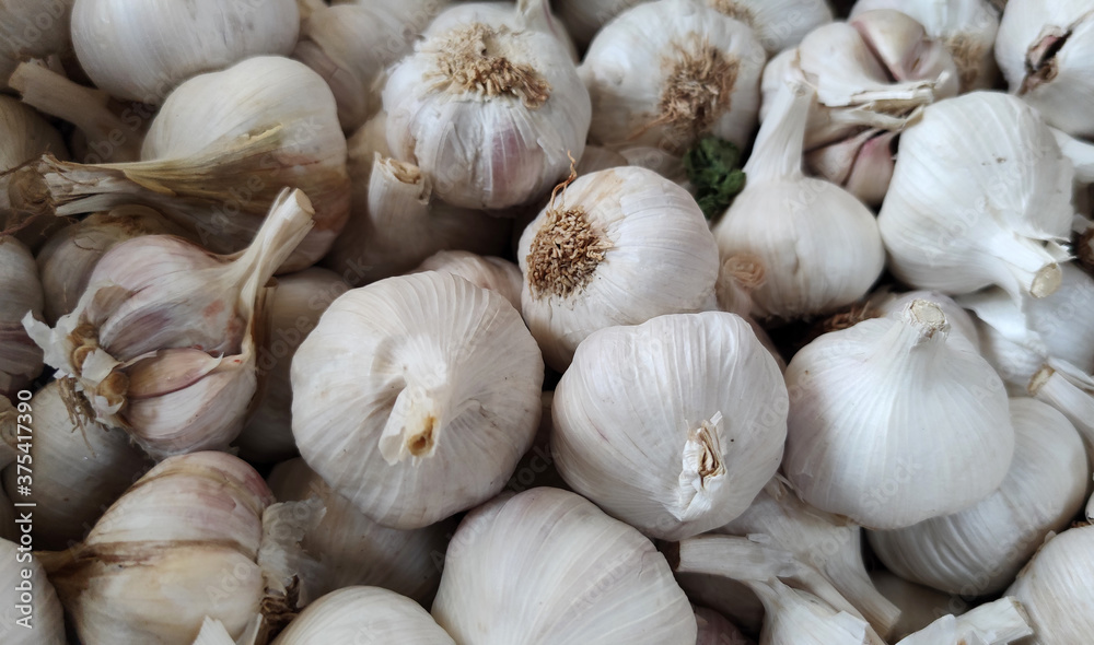 garlic as ingredient for condiment of many food dishes garlic as ingredient for condiment of many food dishes