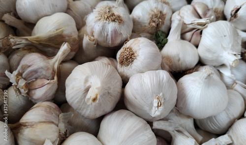 garlic as ingredient for condiment of many food dishes