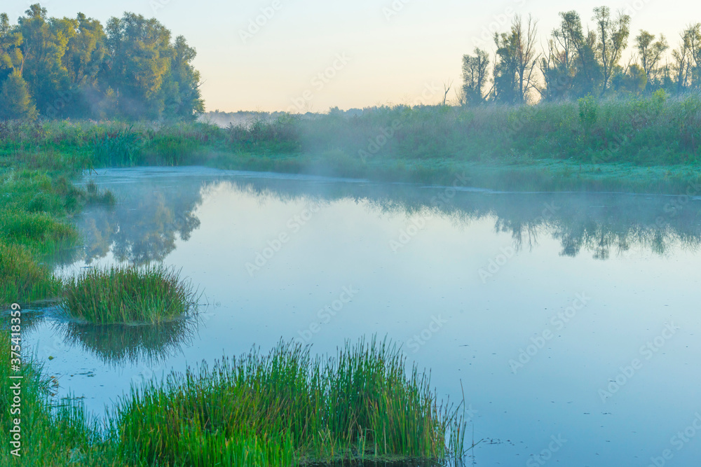 The edge of a misty lake at sunrise in an early bright summer morning with a colorful sky in sunlight, Almere, Flevoland, The Netherlands, September 2, 2020